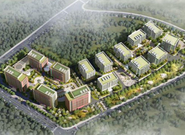 1654765966912826.jpg 11.jpg